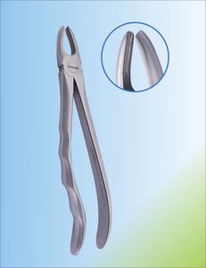 Dentale Extraktionszange / für Schneidezähne