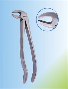 Dentale Extraktionszange / für Prämolaren