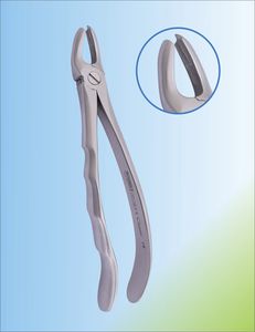 Dentale Extraktionszange / für obere Schneidezähne