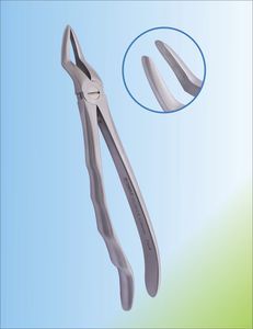 Dentale Extraktionszange / für Zahnwurzeln