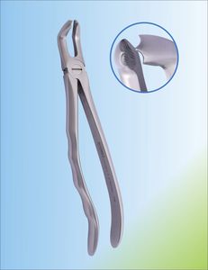Dentale Extraktionszange / für Weisheitszähne