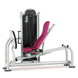 Beinpresse
