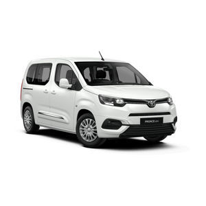 Fahrzeug für Personen mit eingeschränkter Mobilität / Großraumlimousine