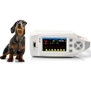 tragbarer Patientenmonitor