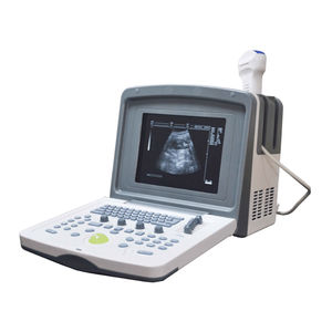 tragbares Ultraschallgerät