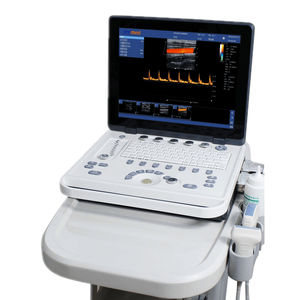 tragbares Ultraschallgerät