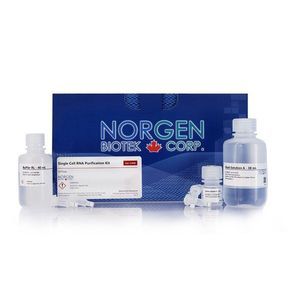 Reagenzkit zur RNA-Reinigung 1