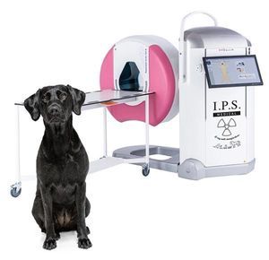 Veterinär-CBCT-Scanner / für Kleintiere