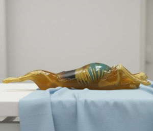 Veterinäres Testphantom / X-Scanner 1