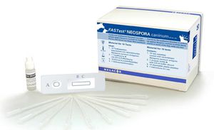 Schnelltest / Neospora caninum 1