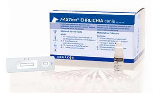 Schnelltest für Ehrlichiose