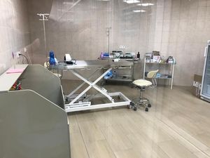 elektrische OP-Tisch fur Tierpraxen 1
