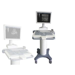 plattformmontiertes Ultraschallgerät