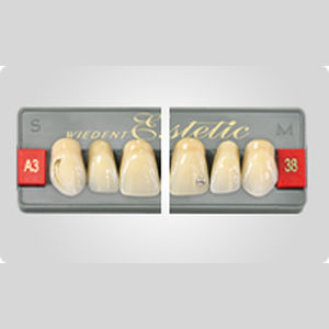 Acrylzahnprothese 1