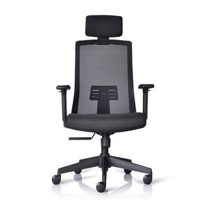 Bürostuhl mit Armlehnen 1