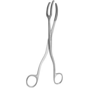 Dental-Klemme 1