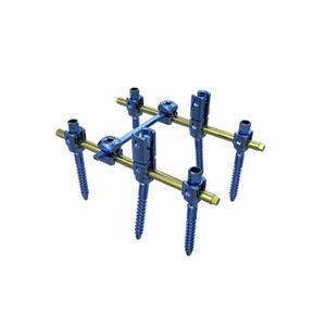 thorako-lumbales Stabilisierungssystem für Osteosynthese 1