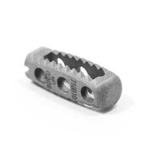 thorako-lumbales Zwischenwirbelimplantat