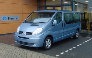 Fahrzeug für Personen mit eingeschränkter Mobilität / Kastenwagen