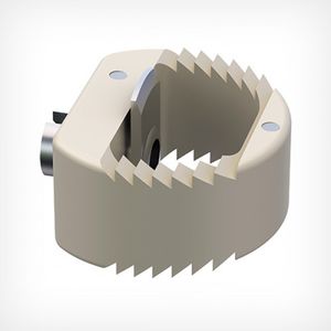 HWS-Zwischenwirbelimplantat