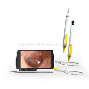 Veterinär-Gastroskop / Video 1