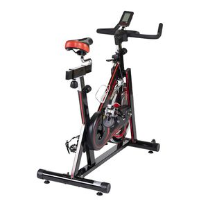 Heimtrainer 1
