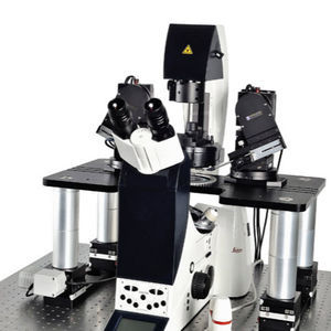 Patch-Clamp-System / mit Umkehrmikroskop 1