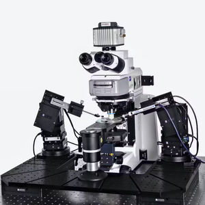 Patch-Clamp-System 1