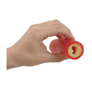 Anatomisches Modell / für Arteriosklerose