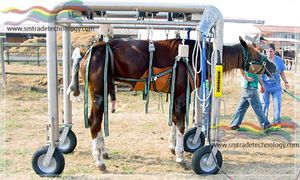Transport-Fahrtrage / Notfall / pneumatisch / Veterinärmedizin