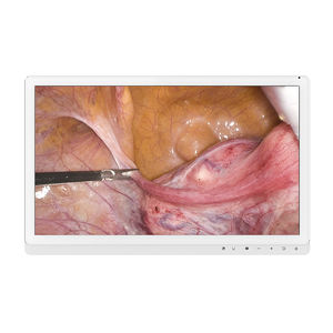 medizinischer Monitor