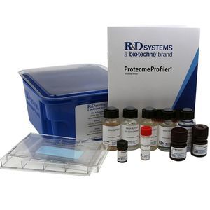 Protease Reagenzkit 1