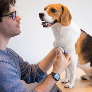 Stethoskop für Veterinärmedizin
