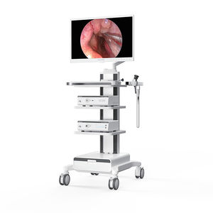 Monitor für Endoskopie 1
