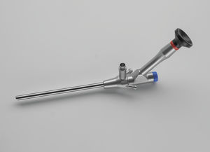gebogenes Myeloskop