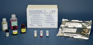 Testkit für Infektionskrankheiten / Antikörper / HTLV-1 / HTLV-2