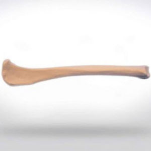 Anatomisches Modell / Tibia