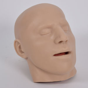 Anatomisches Modell / Haut / für Ausbildung / Implantologie / Craniotomie