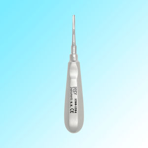 gerades Dentales Luxationsinstrument