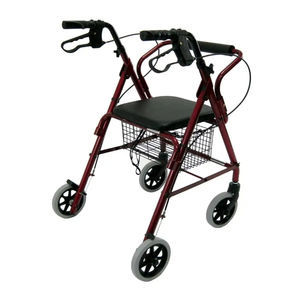 Rollator mit 4 Rädern