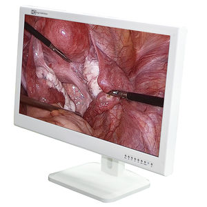 medizinisch Monitor