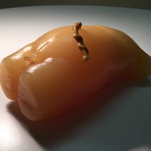 Testphantom für Ultraschalluntersuchungen