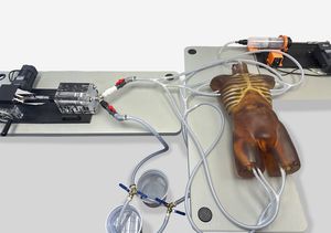 Testphantom für Ultraschalluntersuchungen