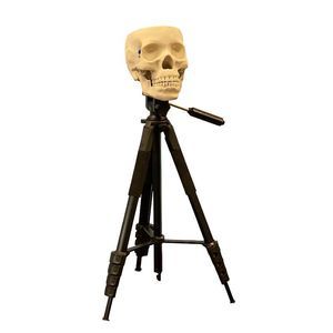 Testphantom für zahnärztliches Röntgen 1