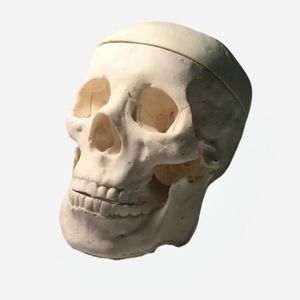 Testphantom für Röntgenzwecke