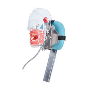 Dental-Trainingspuppe 1