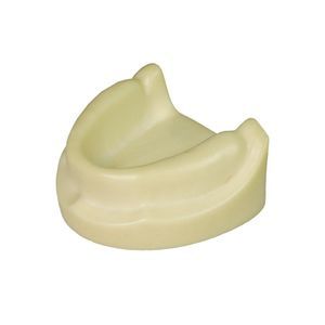 Anatomisches Modell / Dental 1