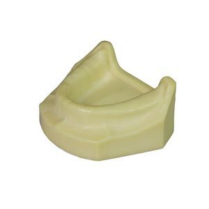 Anatomisches Modell / Dental 1
