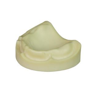 Anatomisches Modell / Dental 1