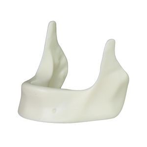 Anatomisches Modell / Unterkiefer